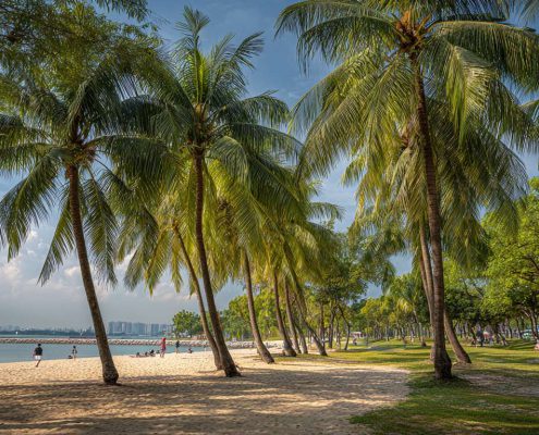 Vela 1 Picture Slider 1