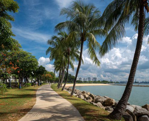 Vela 1 Picture Slider 1